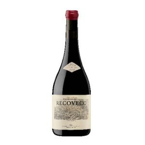 GIL BERZAL RECOVECO SINGULAR