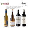 CATA BODEGAS LUZÓN