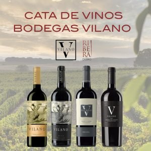 CATA BODEGAS VILANO