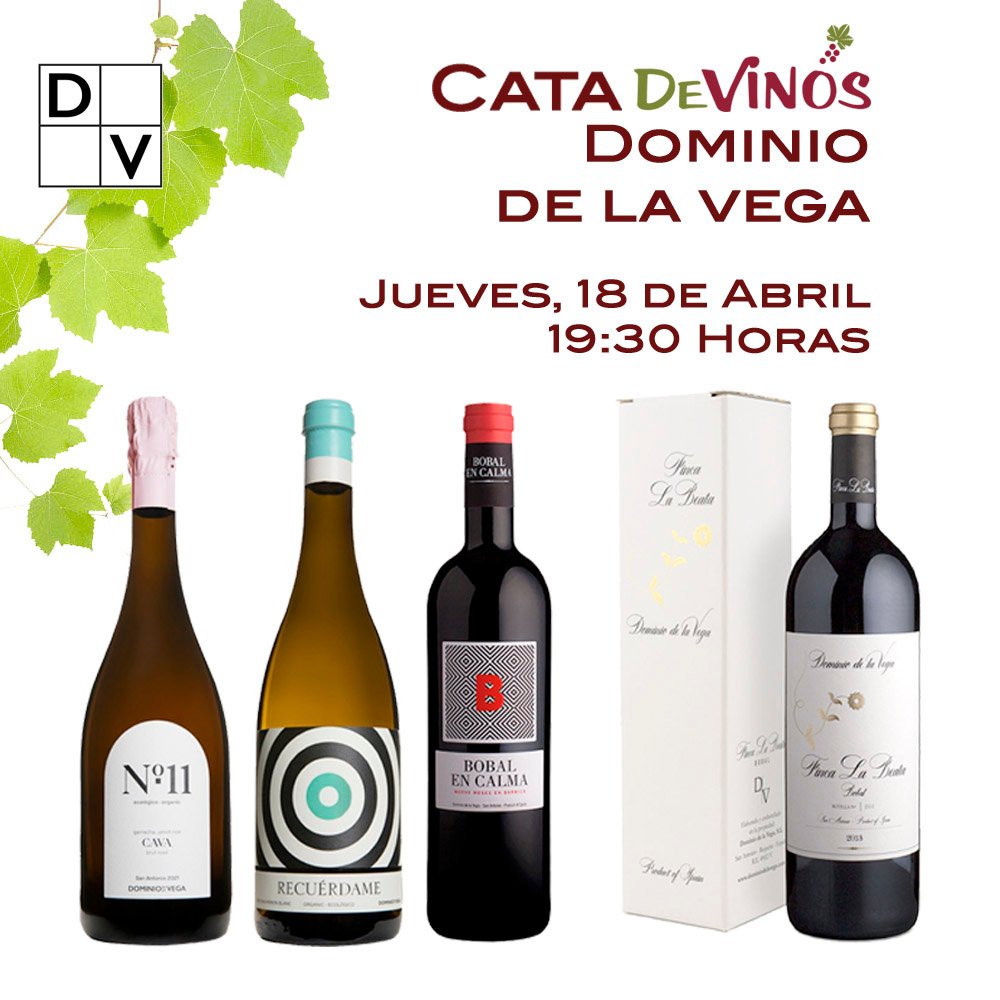 CATA VINOS DOMINIO DE LA VEGA