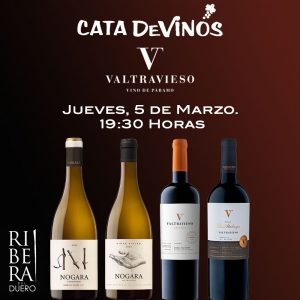 CATA  BODEGA VALTRAVIESO. RIBERA DEL DUERO